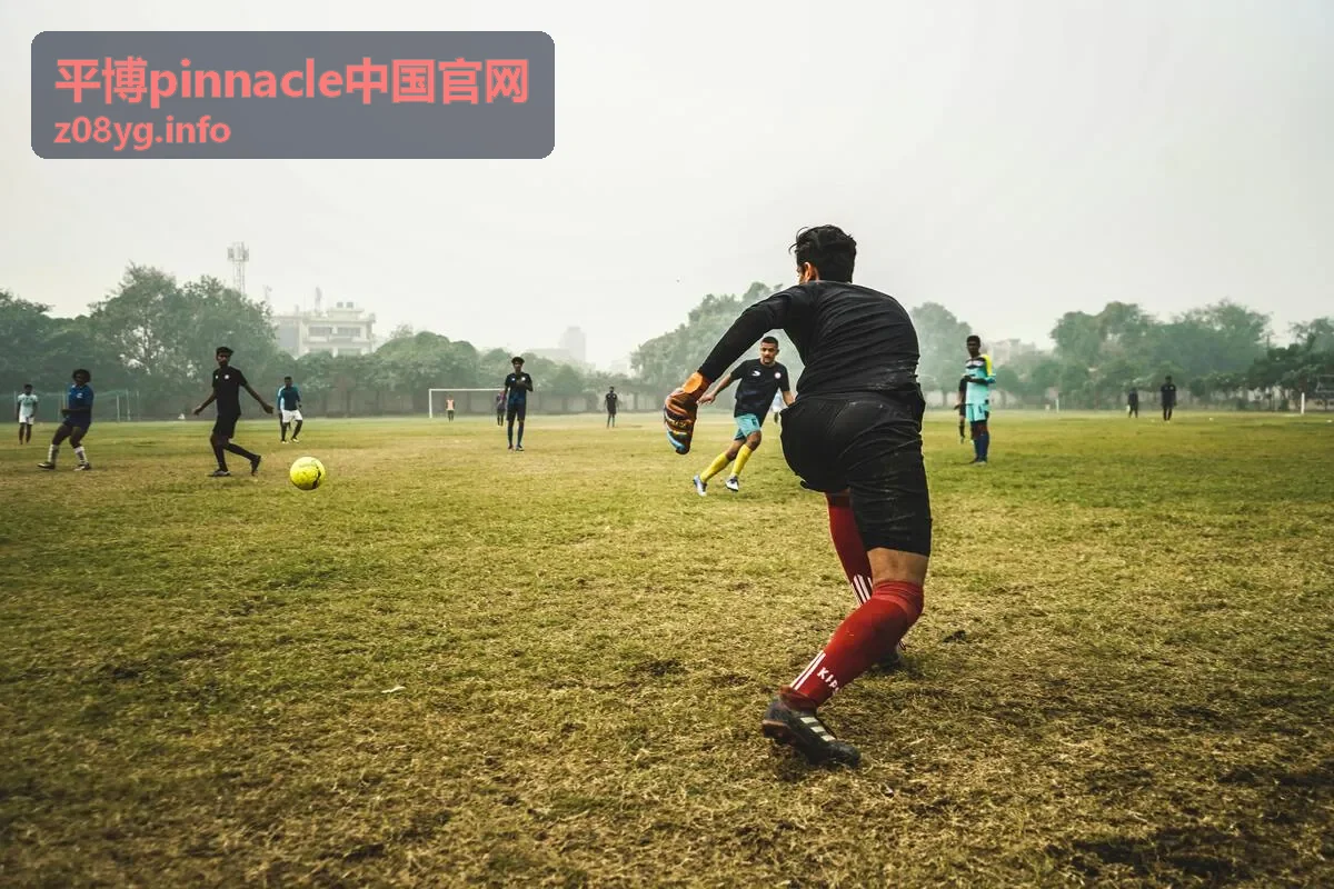 平博pinnacle中国官网品牌资讯与行业观察背景图